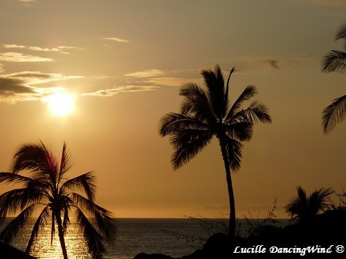 Hawaii sun