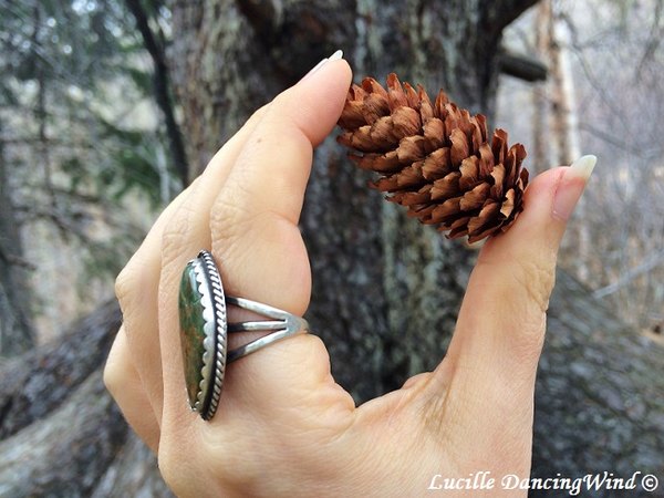 AK Pinecone