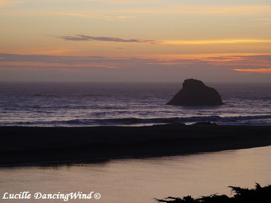 Cali Bodega Bay 3