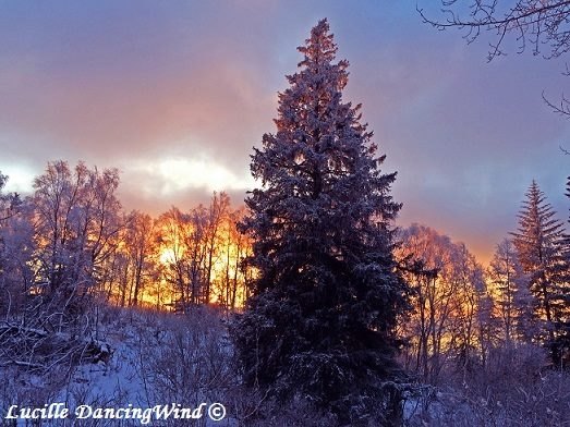 Winter sunset AK