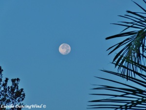 Our moon intimately reminds us of our amazing true nature…