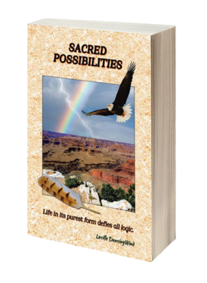 Sacred Possibilities 3D Cover Book1 resized transparent USE THIS ONE