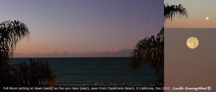 SEC Website eNewsArchives page CapistranoBeach Setting FullMoon at Dawn 2